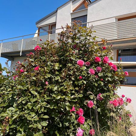 Ferienwohnungen Im Rosengarten Bodman-Ludwigshafen Exterior photo